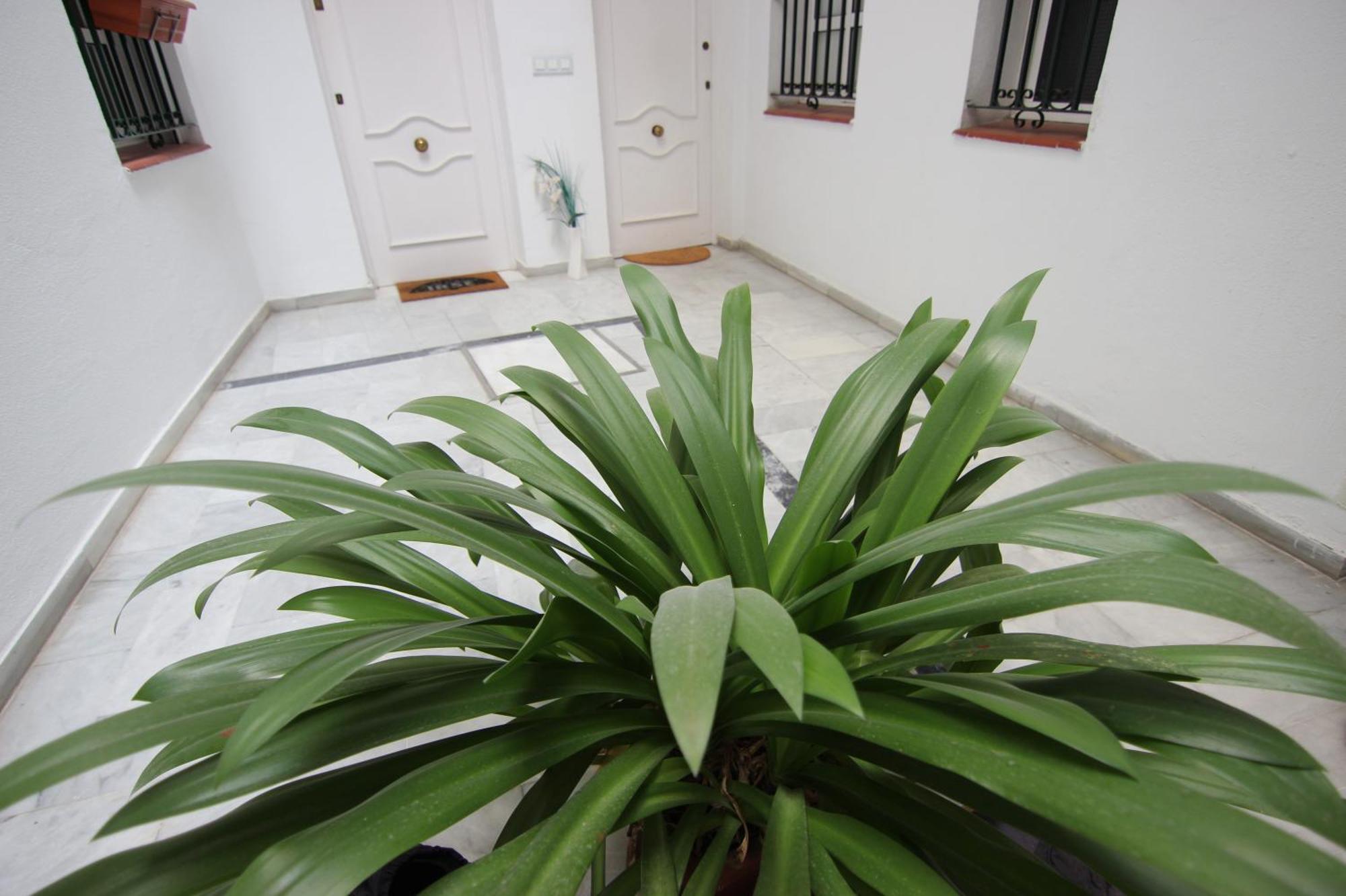 Apartamento Corazon De Triana Севілья Екстер'єр фото